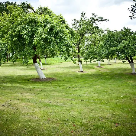 Üdülőpark Dworek Debowko Bartoszyce