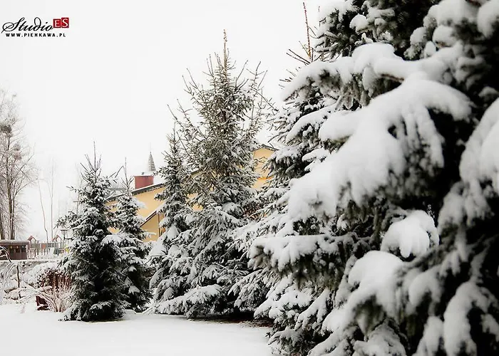 Dworek Debowko Bartoszyce